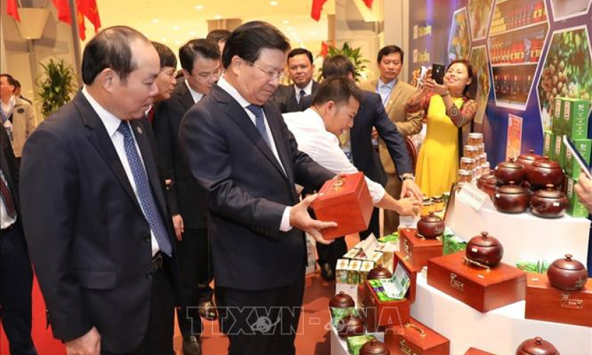 Li&ecirc;n k&ecirc;́t ph&aacute;t triển kinh tế tập thể theo xu hướng hội nhập