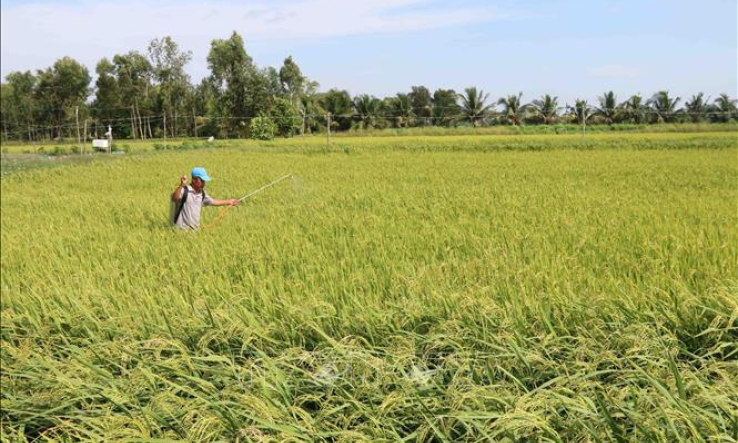 Hơn 500 tỷ đồng hỗ trợ n&ocirc;ng d&acirc;n sản xuất th&iacute;ch ứng biến đổi kh&iacute; hậu