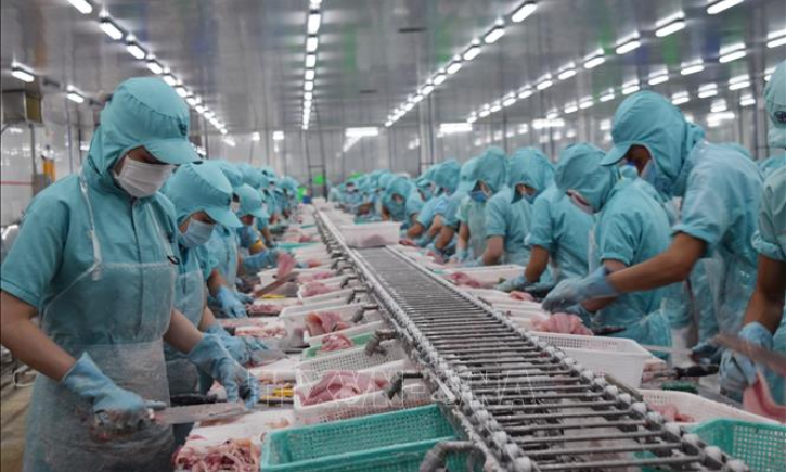 Xuất khẩu trở th&agrave;nh ‘điểm s&aacute;ng’ trong bối cảnh dịch COVID-19