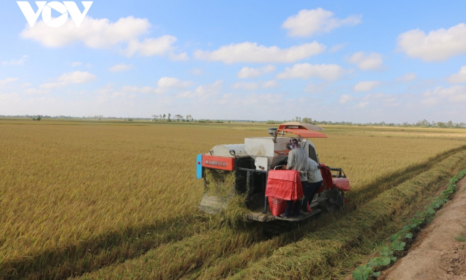 Hiệu quả từ t&aacute;i cơ cấu ng&agrave;nh n&ocirc;ng nghiệp ở S&oacute;c Trăng