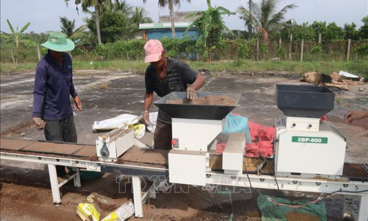 Nh&acirc;n rộng m&ocirc; h&igrave;nh li&ecirc;n kết sản xuất, ti&ecirc;u thụ l&uacute;a gạo h&agrave;ng h&oacute;a