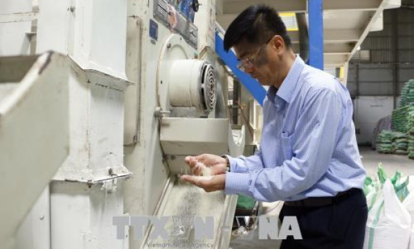 Th&uacute;c đẩy chuyển giao, ph&aacute;t triển c&ocirc;ng nghệ từ nước ngo&agrave;i v&agrave;o Việt Nam