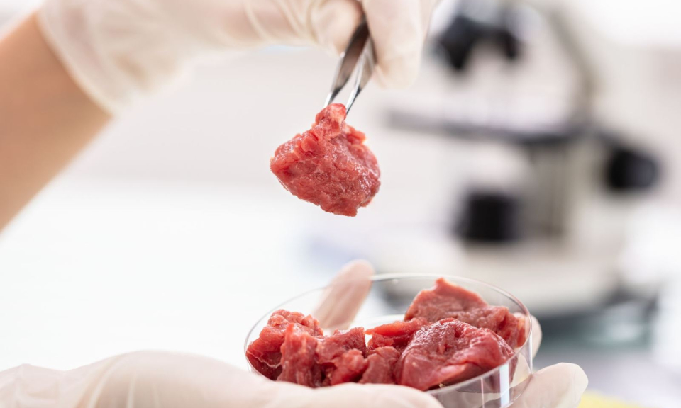 Singapore ch&iacute;nh thức cấp ph&eacute;p b&aacute;n ‘thịt nu&ocirc;i cấy&rsquo; trong ph&ograve;ng th&iacute; nghiệm