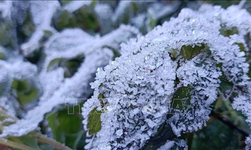 V&ugrave;ng n&uacute;i cao Bắc Bộ c&oacute; băng gi&aacute; v&agrave; sương muối