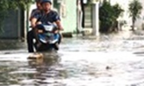 Đỉnh triều cường ở Nam Bộ tăng, nguy cơ ngập &uacute;ng v&ugrave;ng trũng thấp ven biển