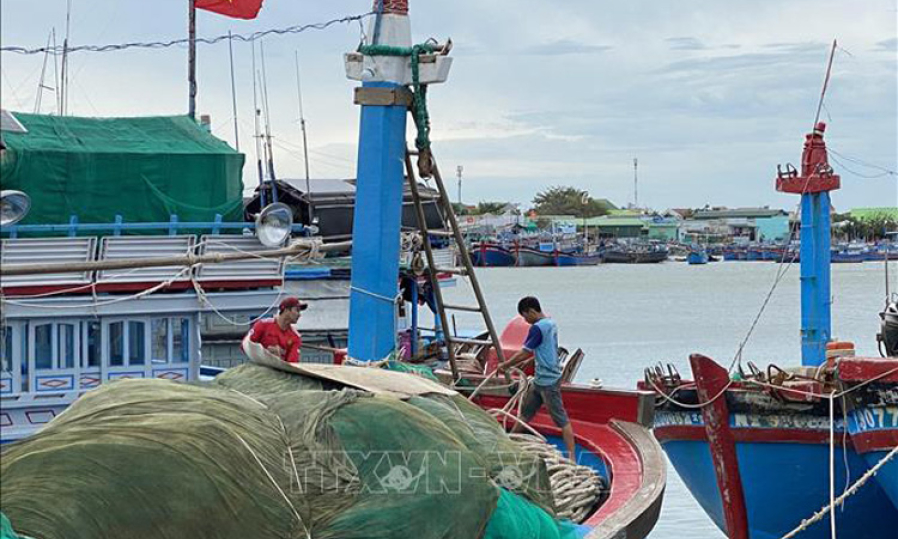 &Aacute;p thấp nhiệt đới g&acirc;y thời tiết xấu tr&ecirc;n biển