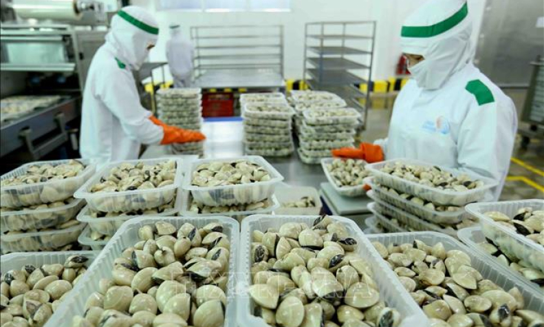 Từ 6 giờ ng&agrave;y 1/1/2021 sẽ &aacute;p dụng tạm thời Hiệp định UKVFTA