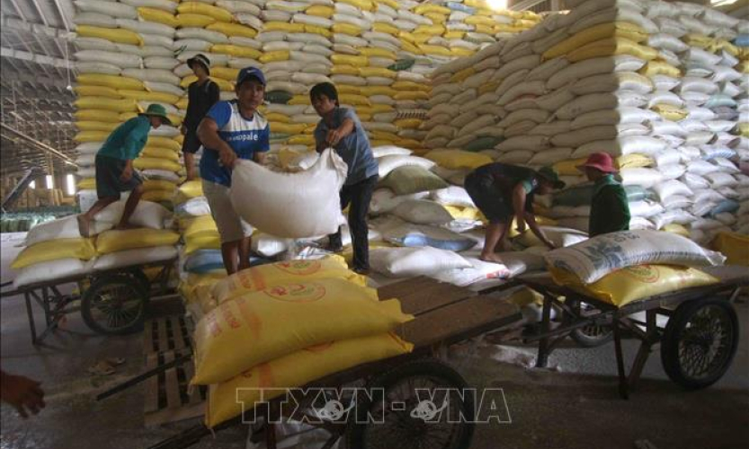 Gi&aacute; gạo Việt Nam giao dịch ở mức cao nhất trong 9 năm