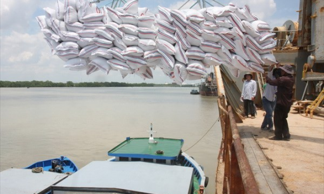 Bảo đảm ti&ecirc;u thụ l&uacute;a gạo với gi&aacute; c&oacute; lợi nhất trong năm 2021