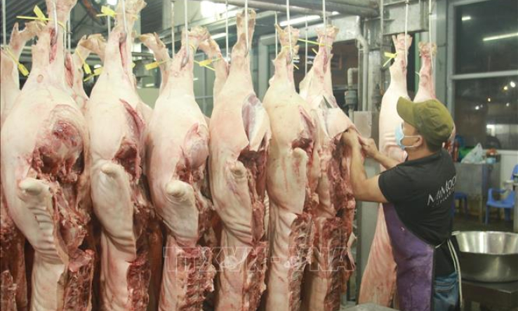 C&aacute;c tỉnh, th&agrave;nh ph&iacute;a Nam đảm bảo nguồn cung thịt lợn