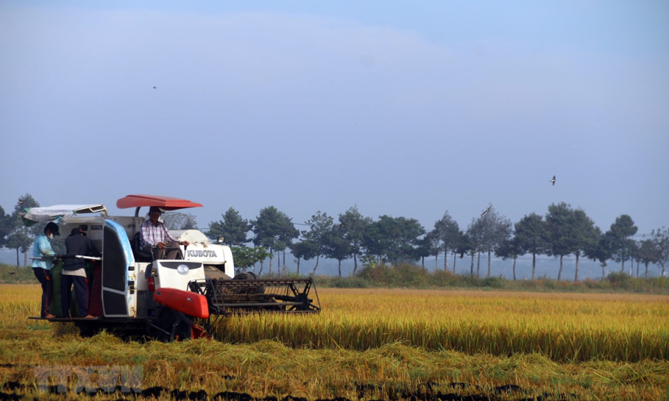 Cơ cấu lại n&ocirc;ng nghiệp gắn với chuyển đổi tăng trưởng theo chiều s&acirc;u