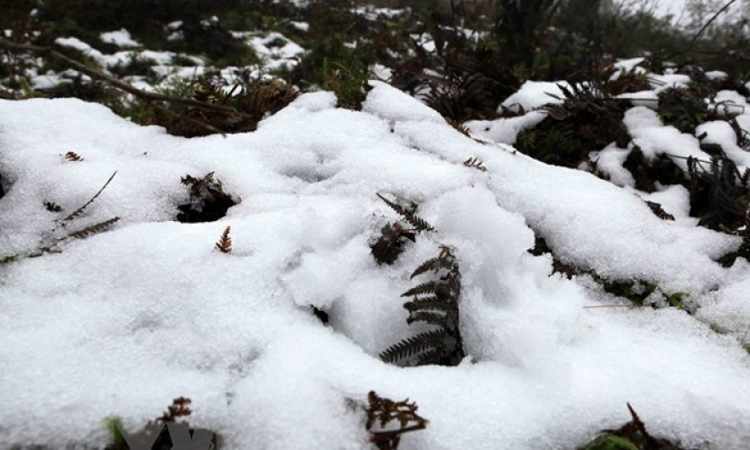 Nhiều khả năng xảy ra mưa tuyết v&agrave; băng gi&aacute;