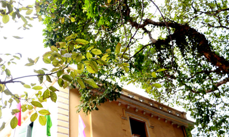 Bắc Bộ nhiệt độ tăng trước khi đ&oacute;n đợt kh&ocirc;ng kh&iacute; lạnh mới