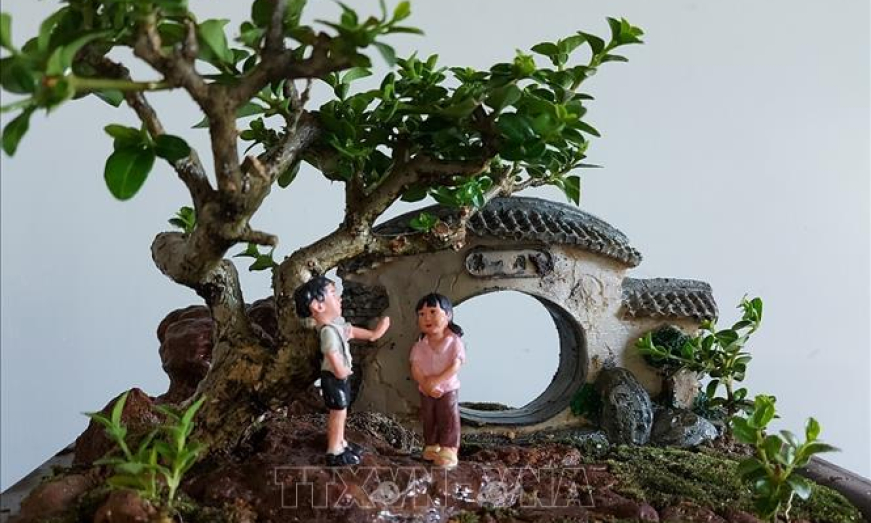 Kỷ lục gia thế giới về bonsai mini thổi hồn v&agrave;o thi&ecirc;n nhi&ecirc;n