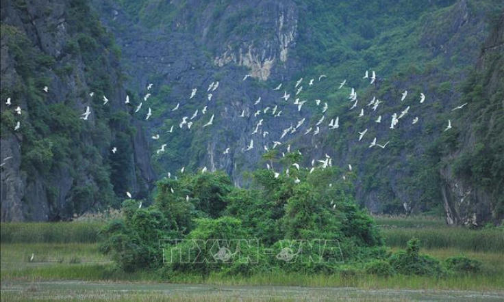 Nhiều hoạt động về bảo tồn v&agrave; sử dụng bền vững c&aacute;c v&ugrave;ng đất ngập nước