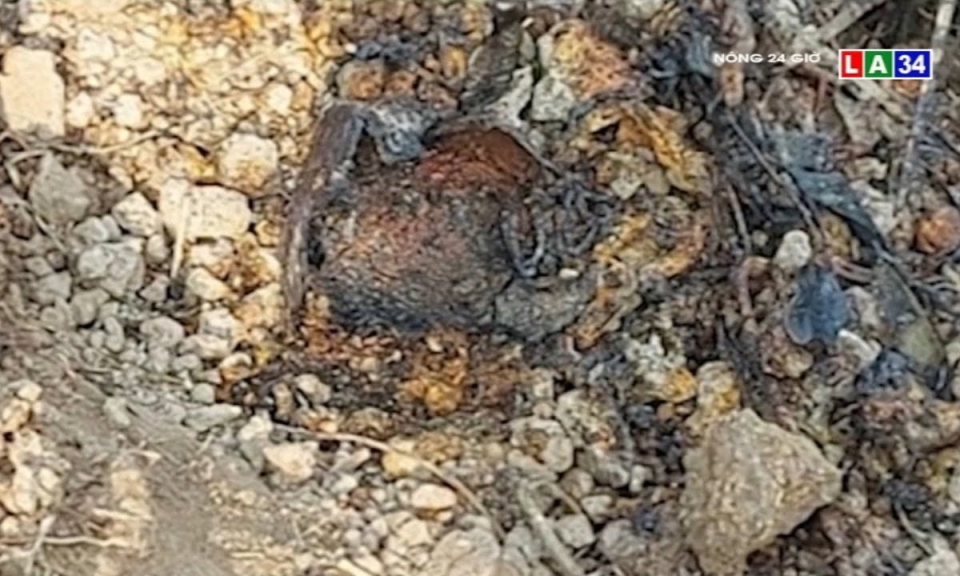 Ki&ecirc;n Giang: Ph&aacute;o s&aacute;ng ph&aacute;t nổ khi cuốc đất l&agrave;m vu&ocirc;ng t&ocirc;m