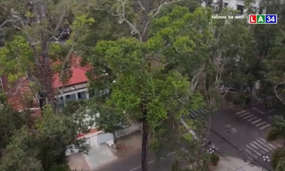 Tr&agrave; Vinh – Th&agrave;nh phố xanh giữa rừng cổ thụ