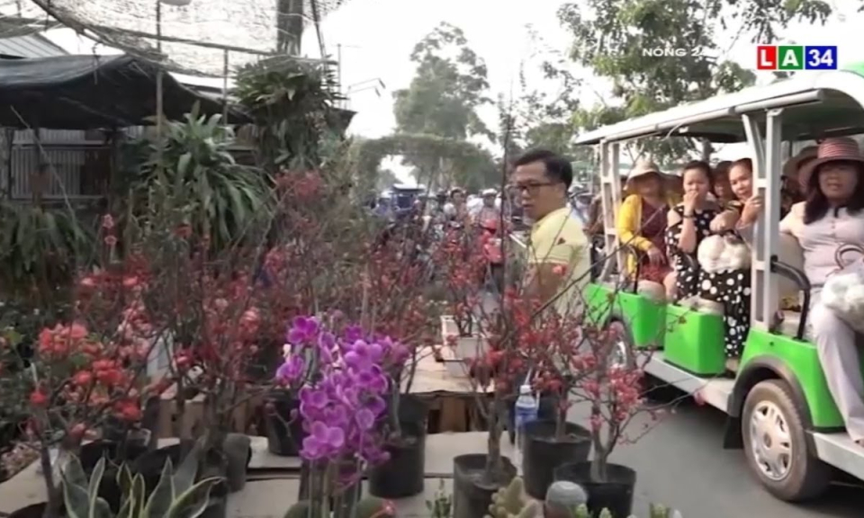 Nhiều nh&agrave; vườn tại l&agrave;ng hoa Sa Đ&eacute;c bị thương l&aacute;i hủy k&egrave;o ph&uacute;t cuối