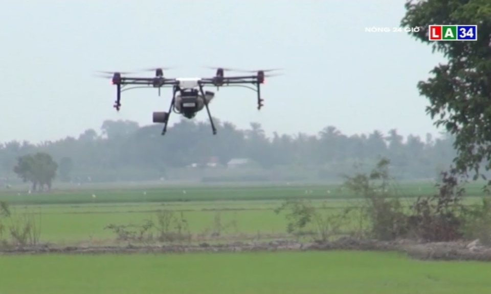 Ứng dụng m&aacute;y bay n&ocirc;ng nghiệp trong sản xuất l&uacute;a