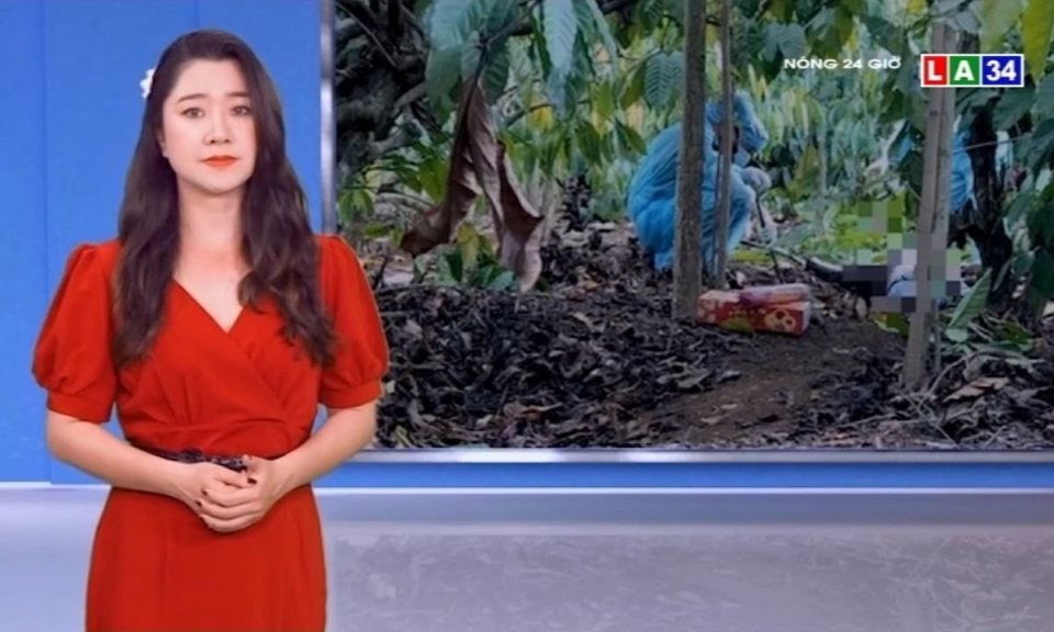 Đắk N&ocirc;ng: Truy t&igrave;m người con trai người phụ nữ bị s&aacute;t hại trong rẫy