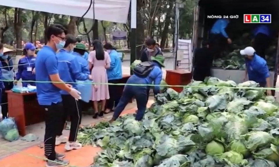 “Giải cứu” n&ocirc;ng sản bị ứ đọng tại TP.Hải Ph&ograve;ng