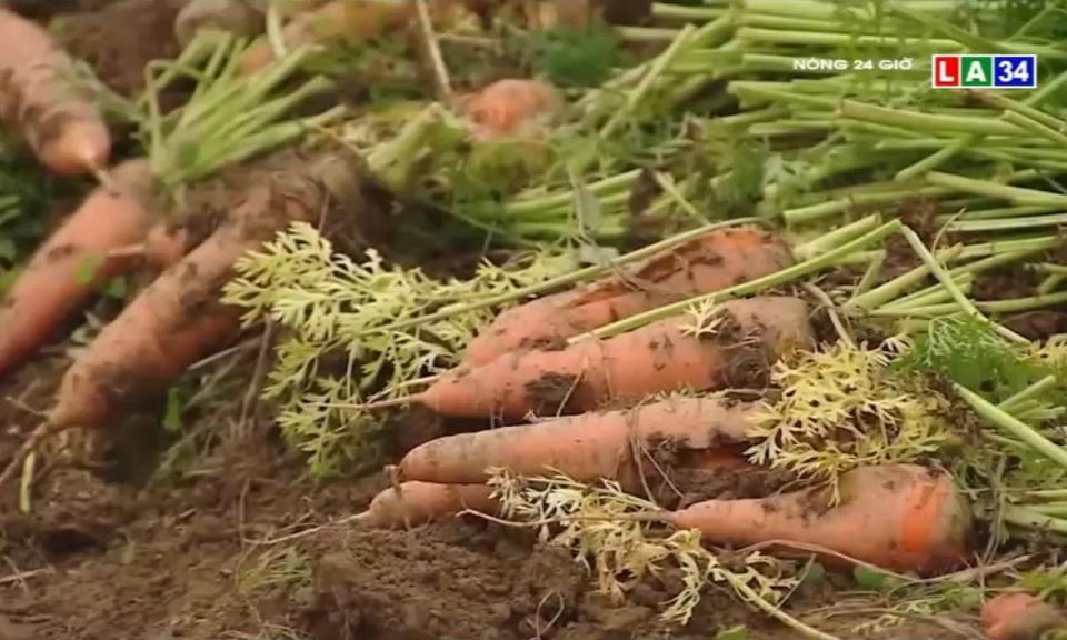 N&ocirc;ng sản Việt tiếp tục “đứng ngồi kh&ocirc;ng y&ecirc;n” v&igrave; Covid-19