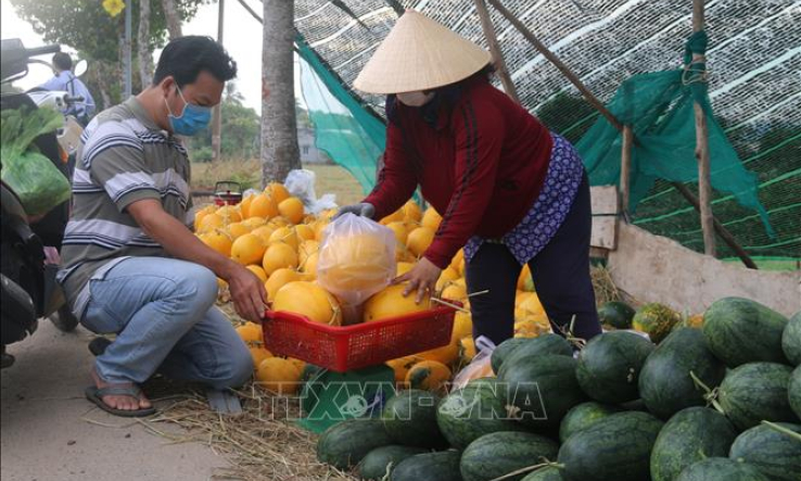 Tr&aacute;i c&acirc;y vụ Tết rớt gi&aacute; mạnh