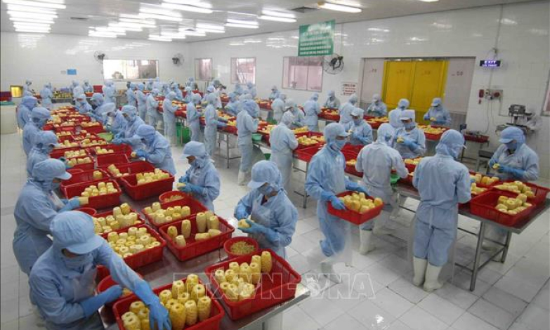 Phấn đấu xuất khẩu n&ocirc;ng – l&acirc;m – thủy sản đạt 60 – 62 tỷ USD năm 2030