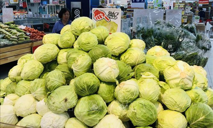 Phối hợp để đảm bảo lưu th&ocirc;ng ph&acirc;n phối h&agrave;ng h&oacute;a