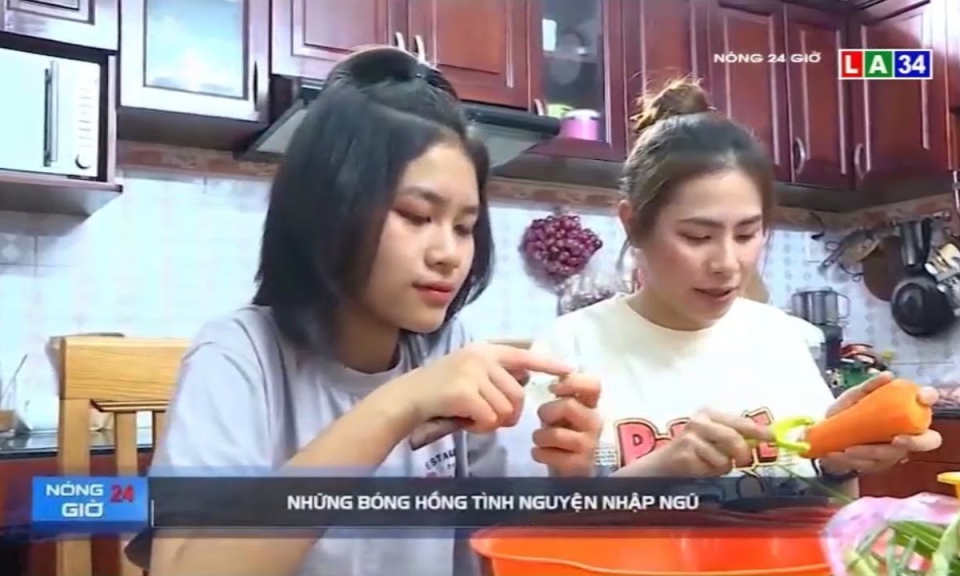 Những b&oacute;ng hồng t&igrave;nh nguyện nhập ngũ