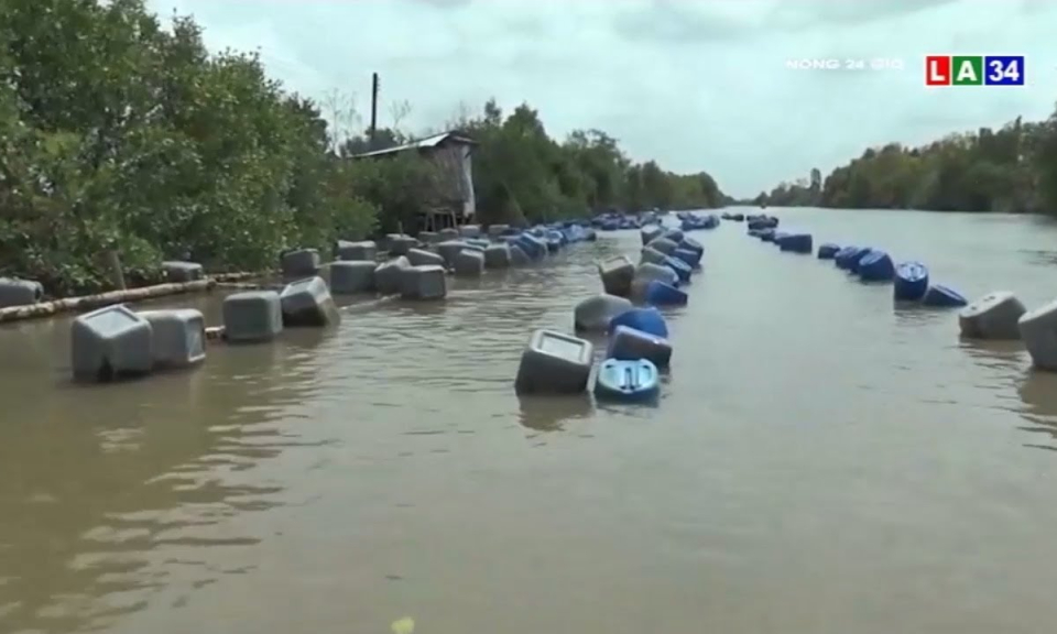 L&agrave;m gi&agrave;u nhờ m&ocirc; h&igrave;nh nu&ocirc;i h&agrave;u bằng gi&agrave;n b&egrave; th&ugrave;ng nhựa