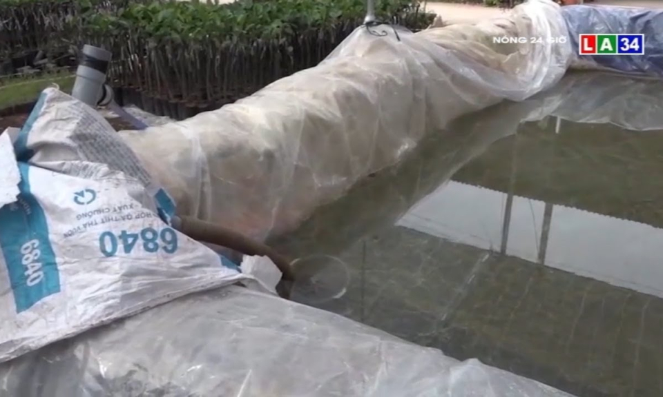 Người d&acirc;n xứ dừa “kh&aacute;t” nước ngọt v&agrave;o m&ugrave;a kh&ocirc;