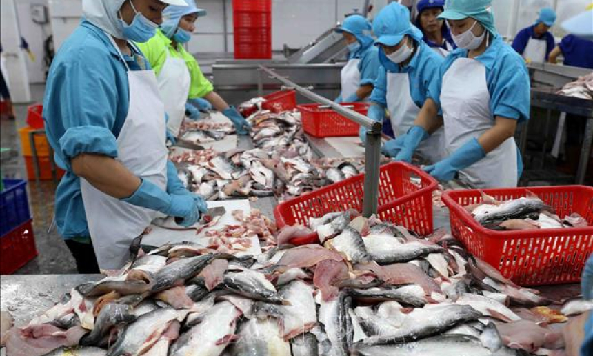 B&agrave;i to&aacute;n về nguồn cung c&aacute; tra