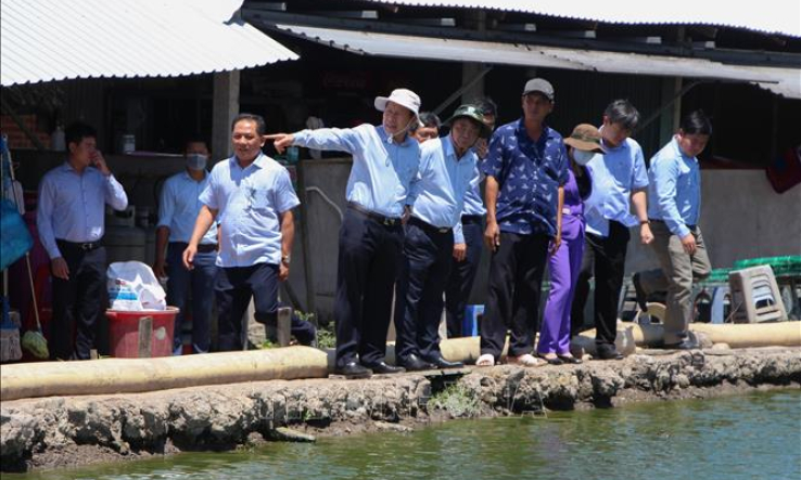 X&acirc;y dựng v&ugrave;ng nguy&ecirc;n liệu dựa tr&ecirc;n li&ecirc;n kết v&ugrave;ng