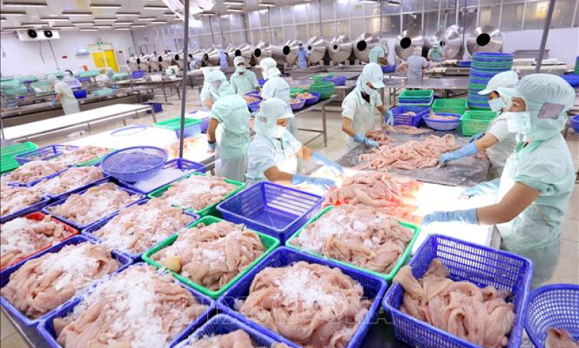 Bộ C&ocirc;ng Thương chọn doanh nghiệp xuất khẩu uy t&iacute;n năm 2020