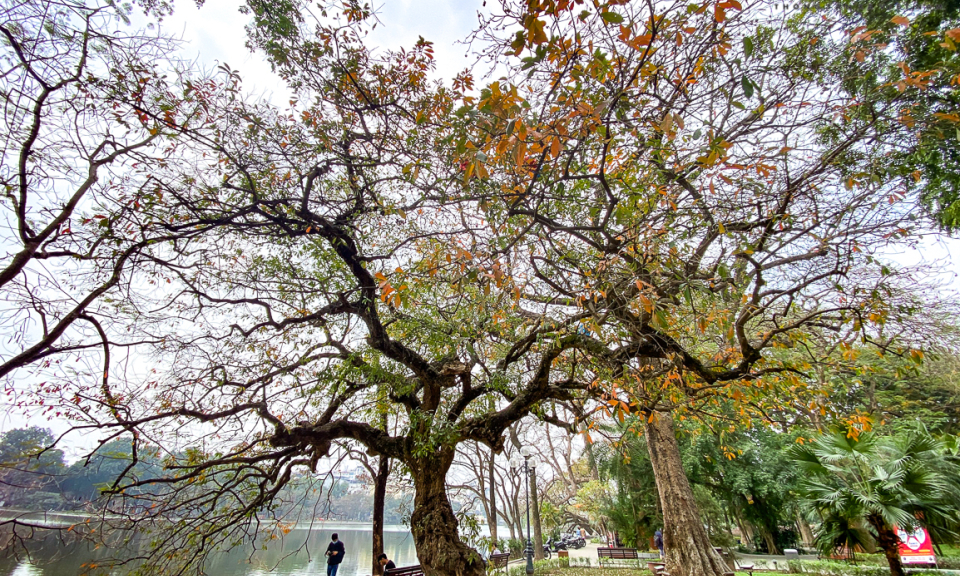 Thời tiết ng&agrave;y 11/3: Miền Bắc lạnh về đ&ecirc;m v&agrave; s&aacute;ng, Nam Bộ nắng n&oacute;ng