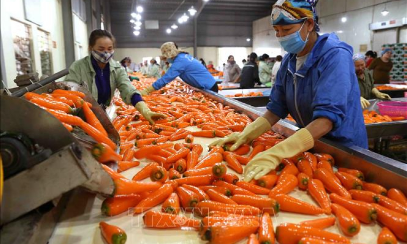 Nhiều giải ph&aacute;p hỗ trợ doanh nghiệp xuất khẩu n&ocirc;ng sản