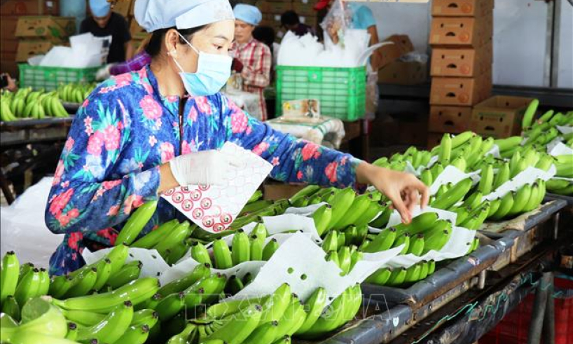 Đề xuất th&ecirc;m đối tượng được hưởng gia hạn thuế v&igrave; dịch COVID-19