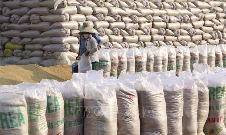 FTA- Đ&ograve;n bẩy cho xuất khẩu gạo