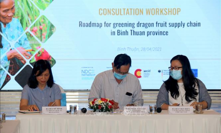Lộ tr&igrave;nh xanh h&oacute;a chuỗi cung ứng thanh long B&igrave;nh Thuận