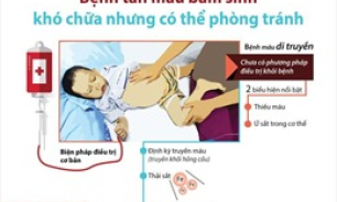 Tăng cường nhận thức về bệnh tan m&aacute;u bẩm sinh nhằm n&acirc;ng cao chất lượng d&acirc;n số