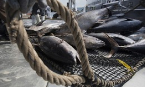 Mỹ k&ecirc;u gọi WTO giải quy&ecirc;́t tình trạng cưỡng bức lao đ&ocirc;̣ng trong khai th&aacute;c thủy sản