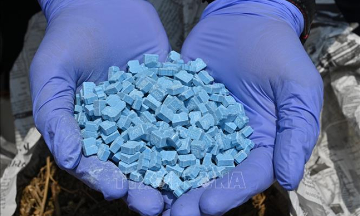 Indonesia triệt ph&aacute; đường d&acirc;y bu&ocirc;n ma t&uacute;y quốc tế lớn