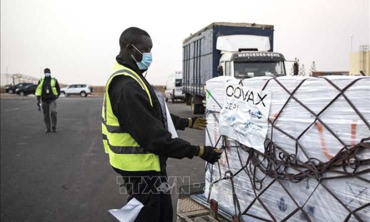 Tổng Gi&aacute;m đốc WHO cảnh b&aacute;o t&igrave;nh trạng ‘ph&acirc;n biệt chủng tộc’ về vaccine