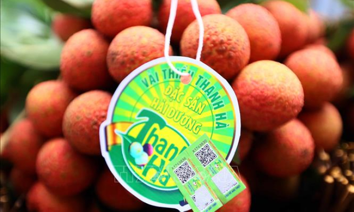 Đa dạng h&oacute;a thị trường ti&ecirc;u thụ n&ocirc;ng sản trong dịch COVID-19