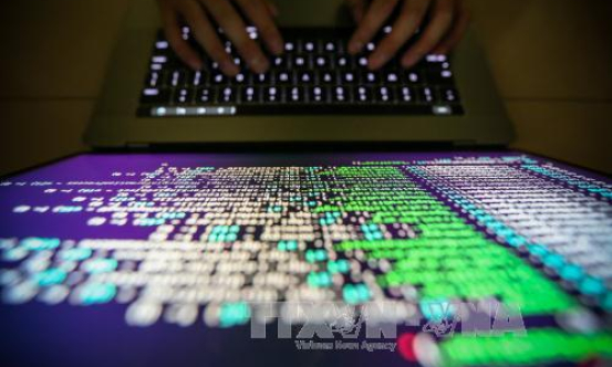 Mỹ cảnh b&aacute;o về l&agrave;n s&oacute;ng tấn c&ocirc;ng mạng