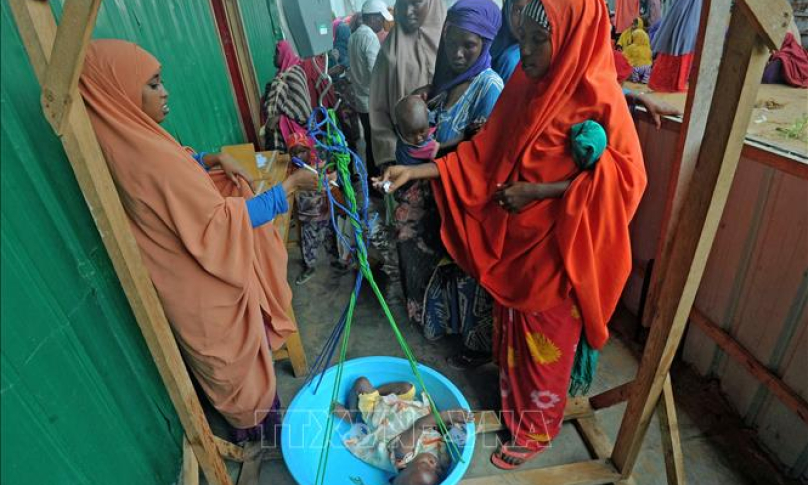 LHQ dự b&aacute;o viễn cảnh thế giới chật vật trong đ&oacute;i k&eacute;m, hạn h&aacute;n v&agrave; dịch bệnh