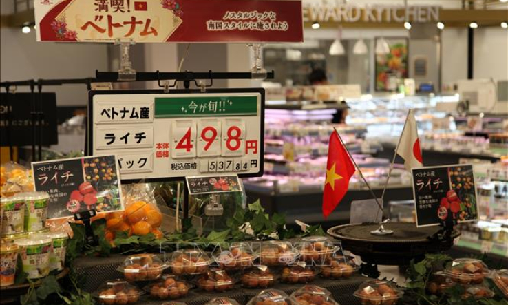 Vải thiều Việt Nam chinh phục Nhật Bản: Vui nhưng kh&ocirc;ng chủ quan