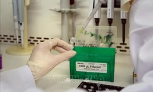 Th&ecirc;m 73 bệnh nh&acirc;n mắc COVID-19 được c&ocirc;ng bố khỏi bệnh