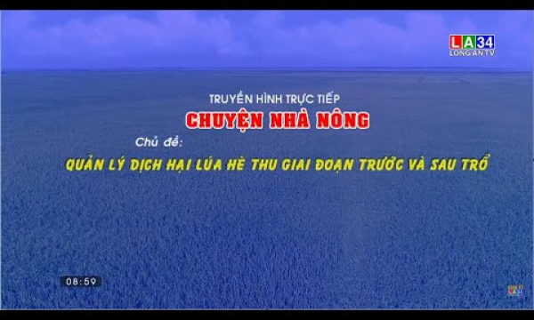 Chuyện nh&agrave; n&ocirc;ng | Chủ đề: Quản l&yacute; dịch hại tr&ecirc;n l&uacute;a H&egrave; Thu giai đoạn trước v&agrave; sau trổ